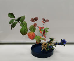 Ikebana 3